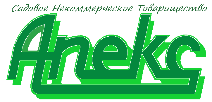 Апекс Лого